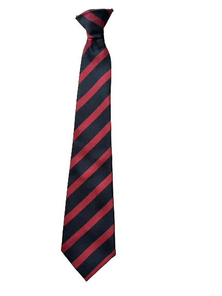 Hebburn Comprehensive Clip on Tie